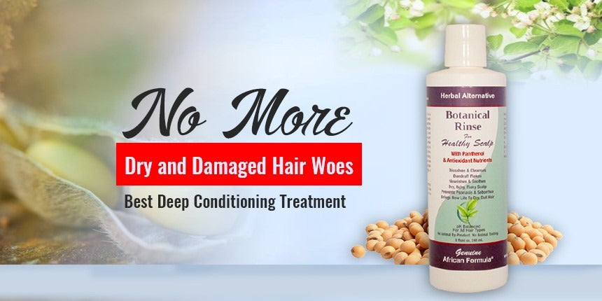 No More Dry and Damaged Hair Woes